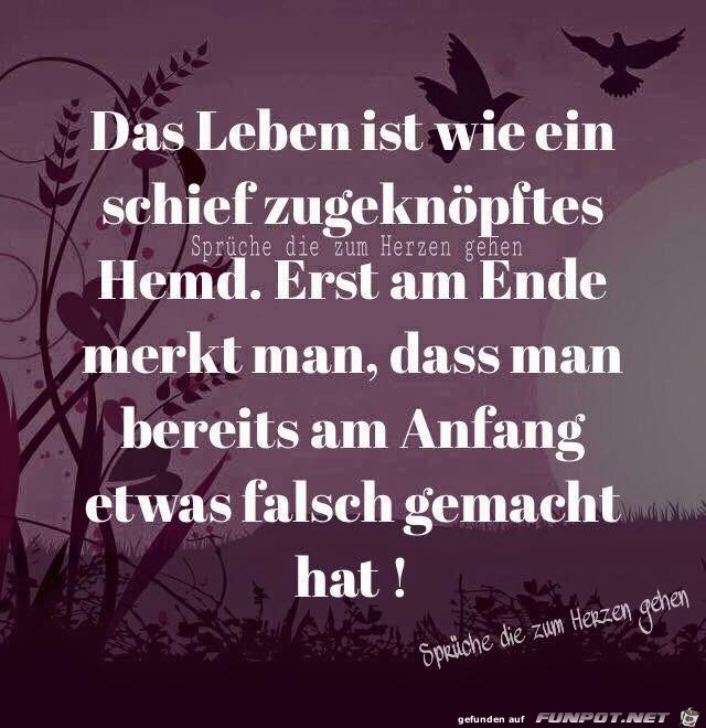 Das Leben ist- 