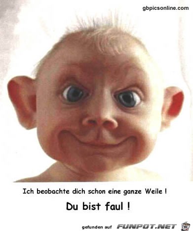 ich beobachte dich ich beobachte dich