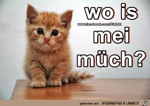 wo ist meine milch