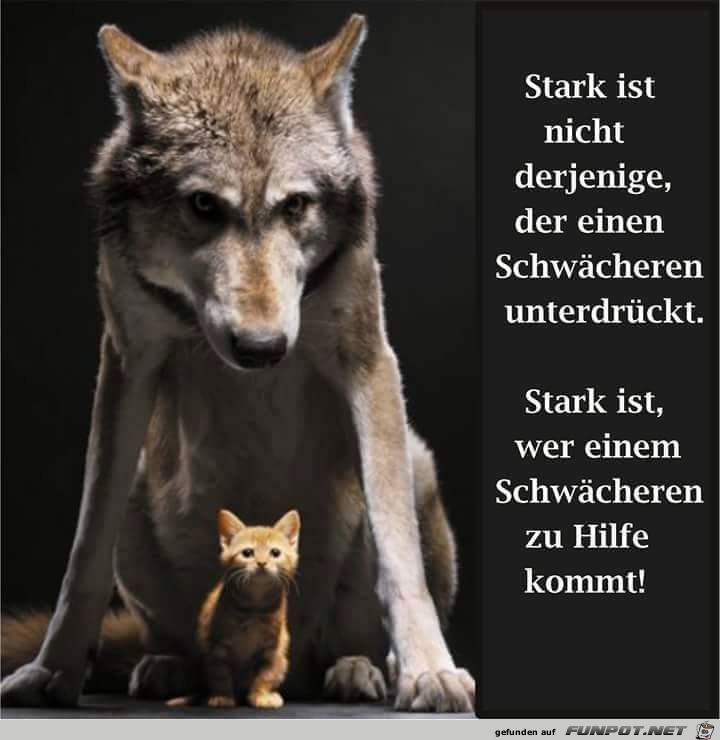 stark ist nicht