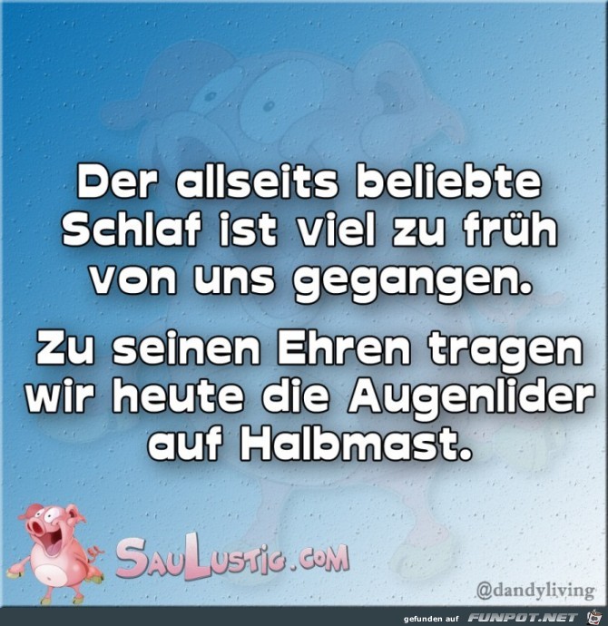 Der-allseits-beliebte-Schlaf Der-allseits-beliebte-Schlaf