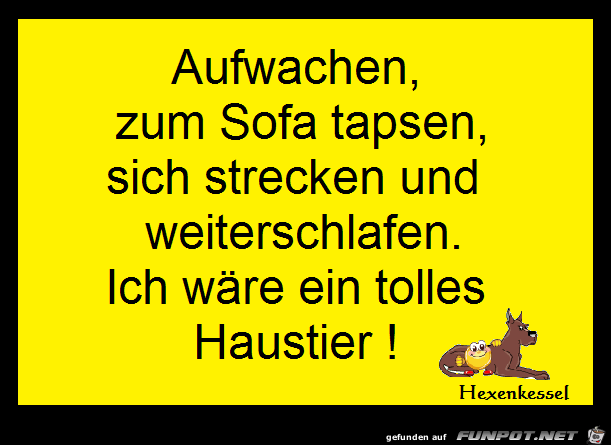 haustier