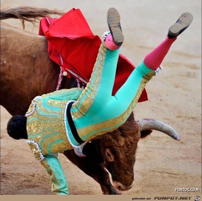 Bulls Brutal Revenge Funzug org 14 Bulls Brutal Revenge Funzug org 14