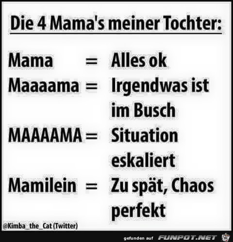 vier mamas vier mamas