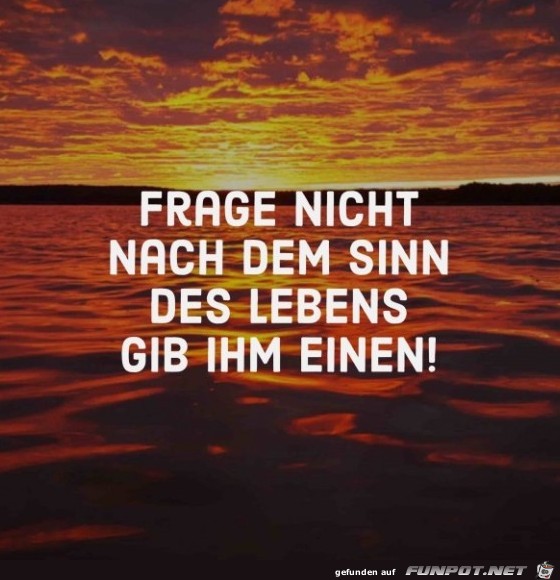 frage-nicht-nach-dem-sinn- frage-nicht-nach-dem-sinn-