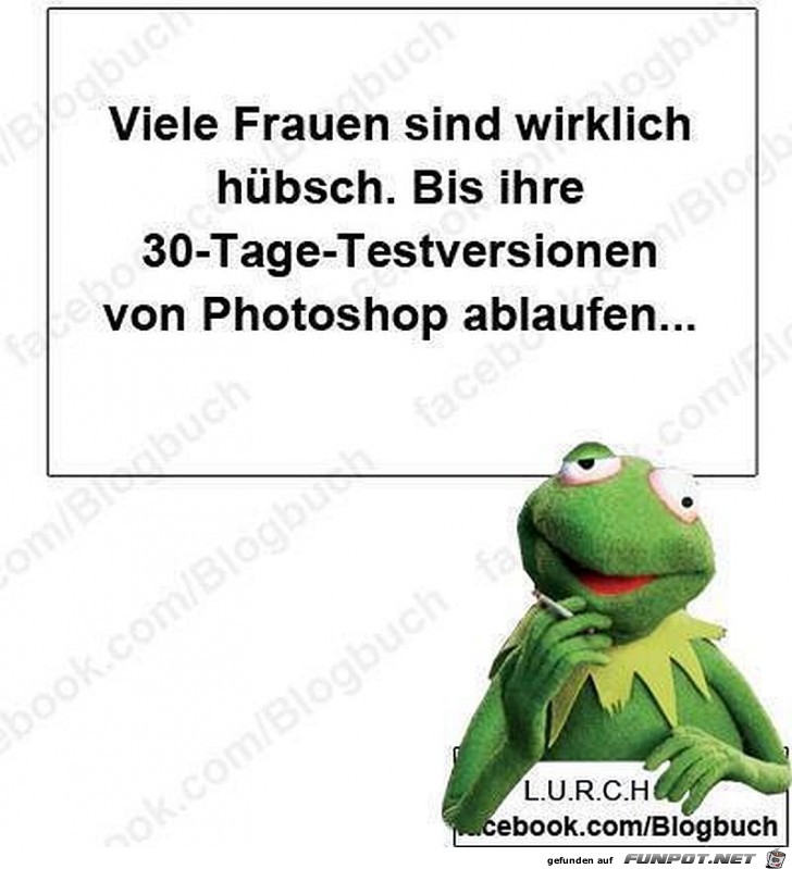 Frosch 1 Frosch 1