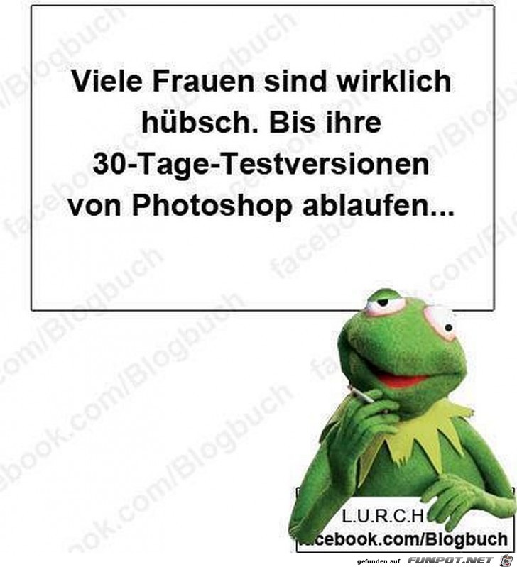 Frosch 1