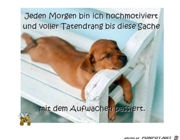 jeden Morgen jeden Morgen