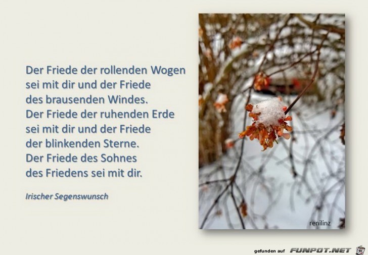 der friede der friede