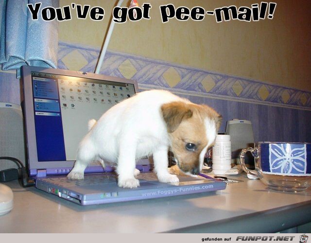 pee-mail