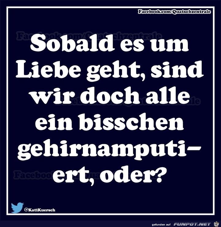 Liebe Liebe