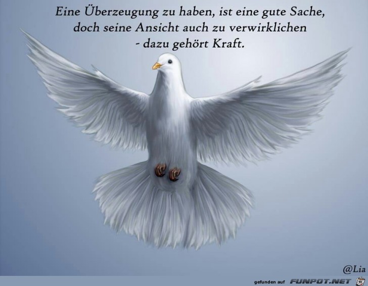 eine Überzeugung zu haben eine Überzeugung zu haben