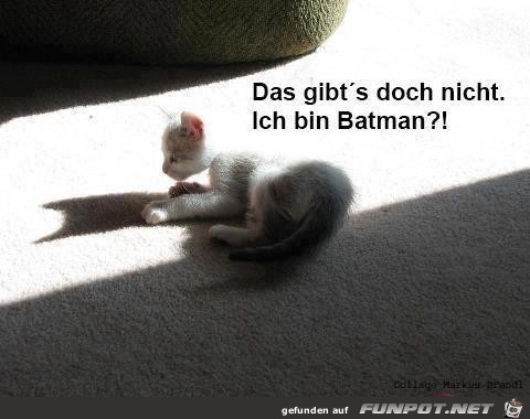 Batman Batman