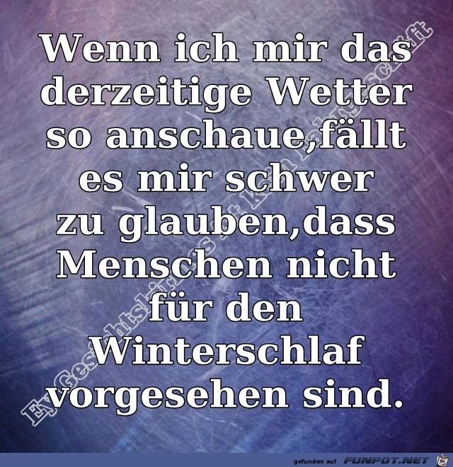 Winterschlaf Winterschlaf