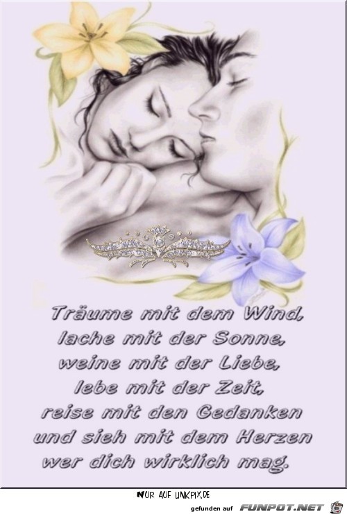 traeaeume mit dem wind 