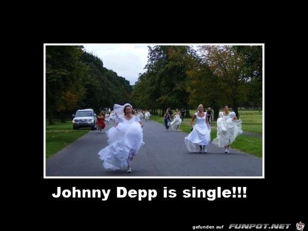 Johnny Depp ist wieder Single