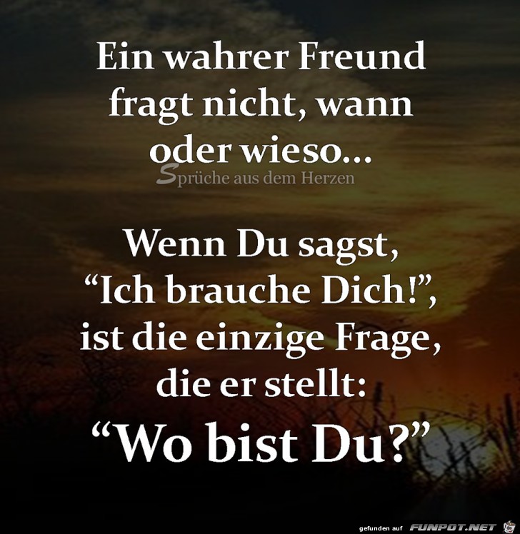 Ein wahrer Freund