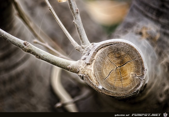 Wow-Bilder! Anschauen und genieen!