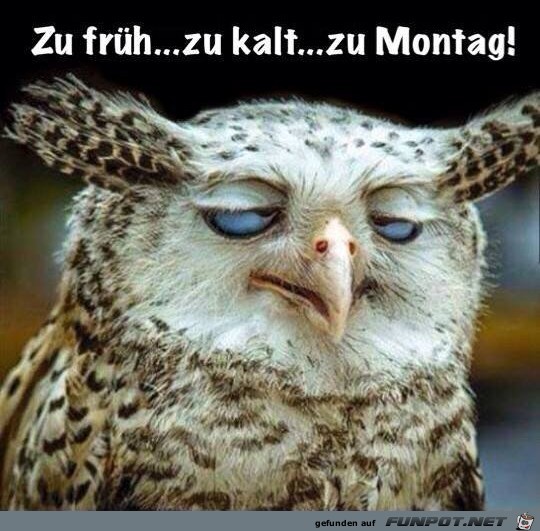 Montag