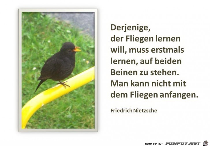 Derjenige, der Fliegen lernen... Derjenige, der Fliegen lernen...