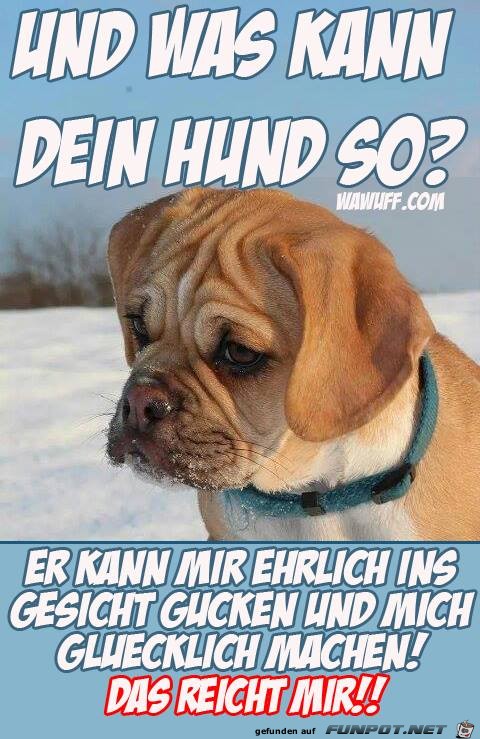 Und was kann dein Hund so