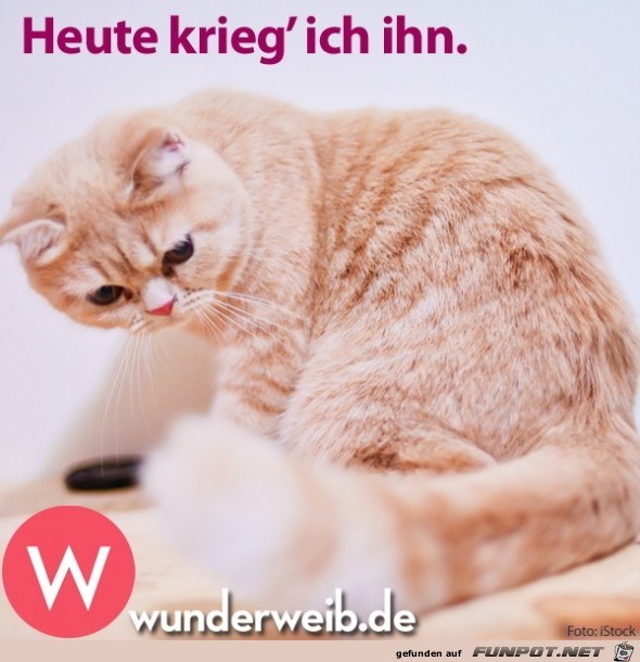 heute heute