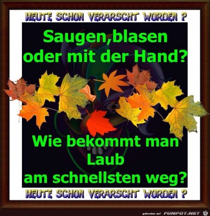 Laub