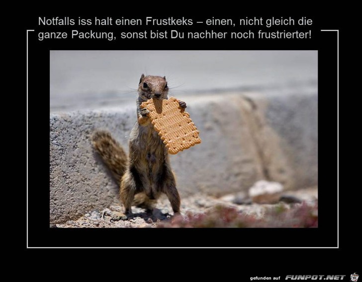 Frustkeks Frustkeks