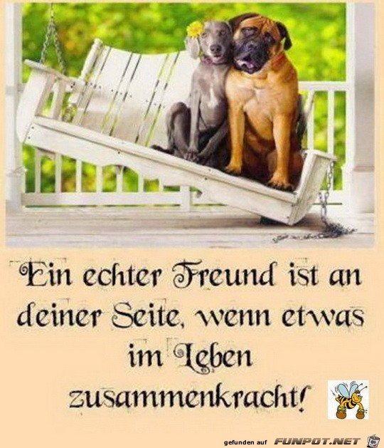 ein echter Freund ein echter Freund