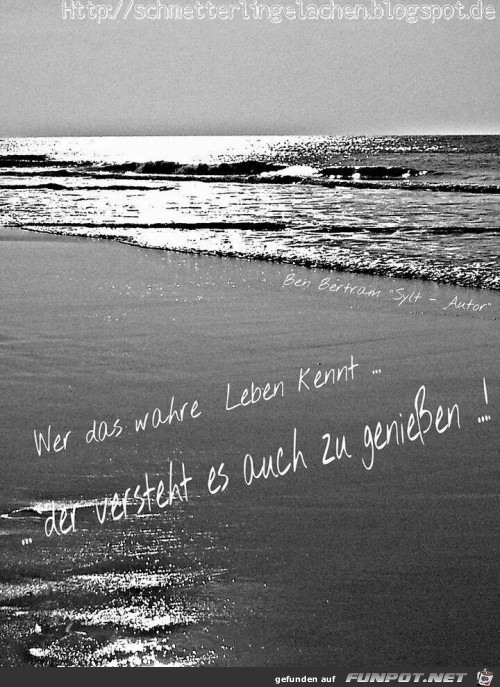 wahre leben wahre leben