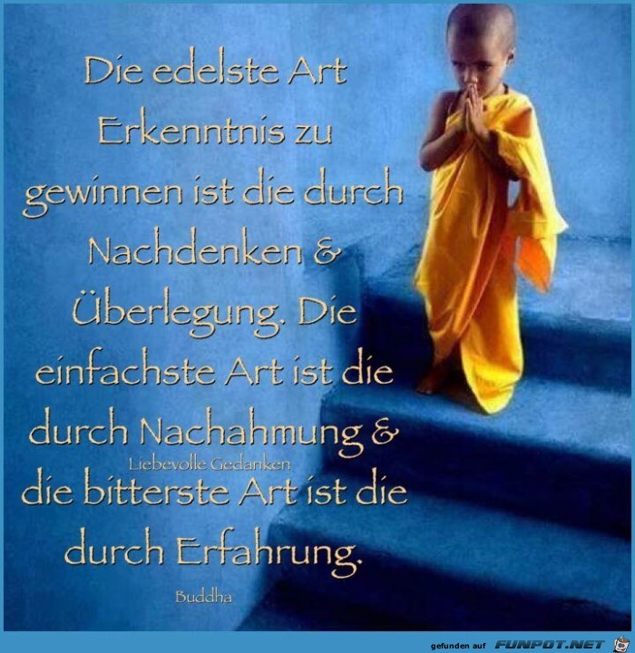 die edelste art