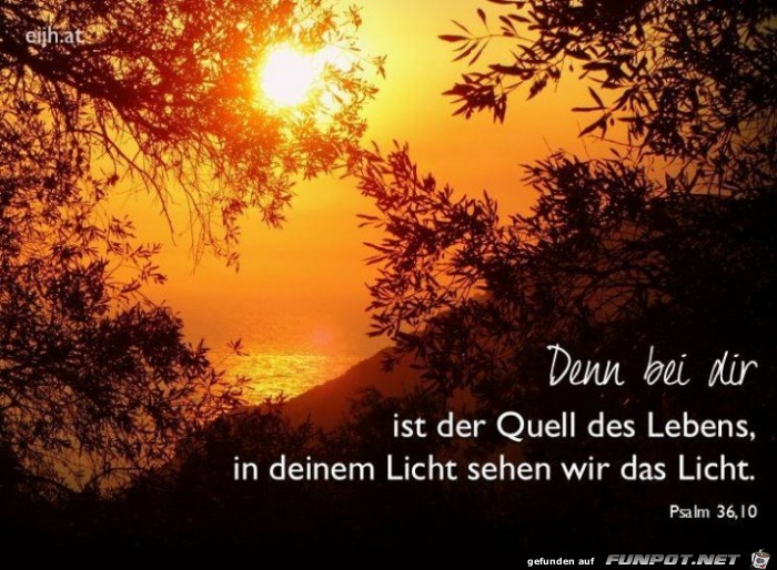 Psalm 36 10 Psalm 36 10