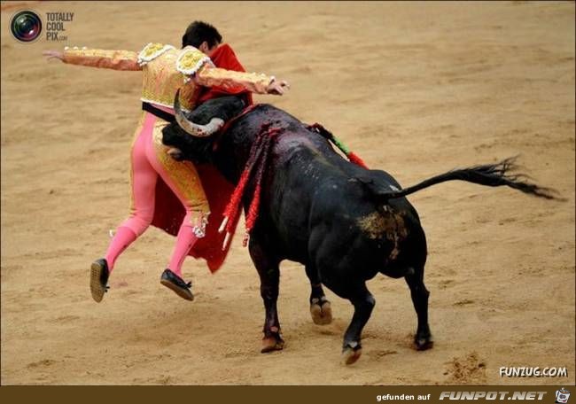 Bulls Brutal Revenge Funzug org 17 Bulls Brutal Revenge Funzug org 17