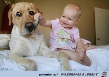 Hundebabysitter