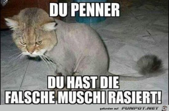 du Penner du Penner