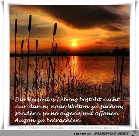 Reise Reise