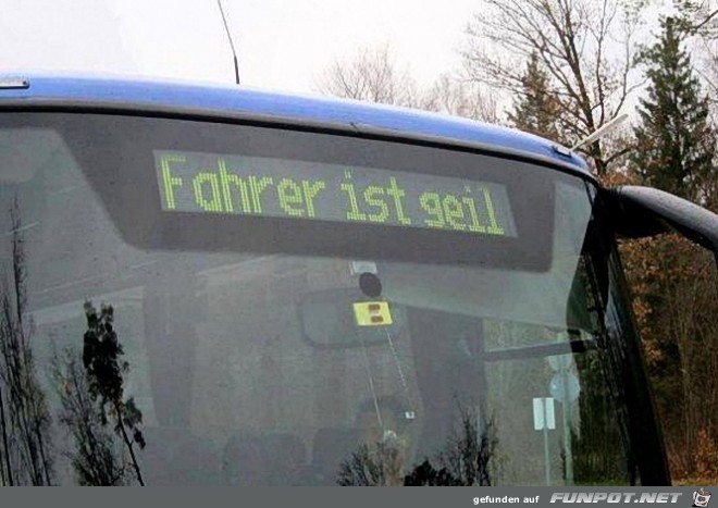 Bus Bus