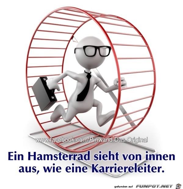 Hamsterrad