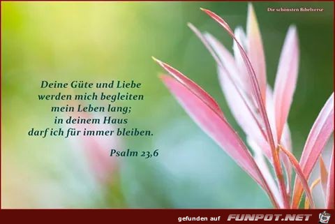 Psalm 23 6 Psalm 23 6