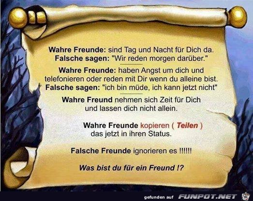 Wahre Freunde