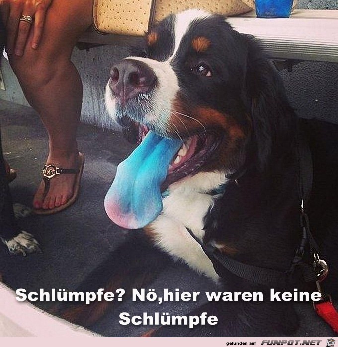Schlümpfe alle weg! Schlümpfe alle weg!