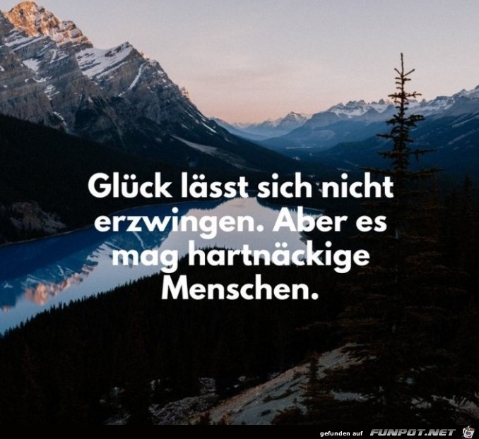 glueck-laesst-sich-nicht-erzwingen- glueck-laesst-sich-nicht-erzwingen-