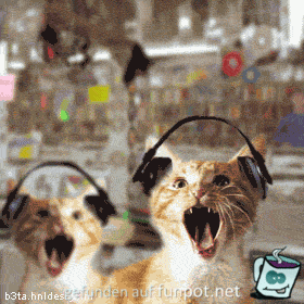 image003333 image003333