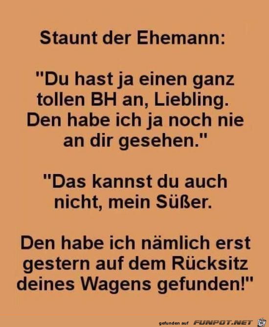 toller BH toller BH