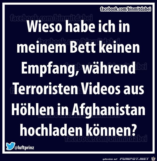 Empfang Empfang
