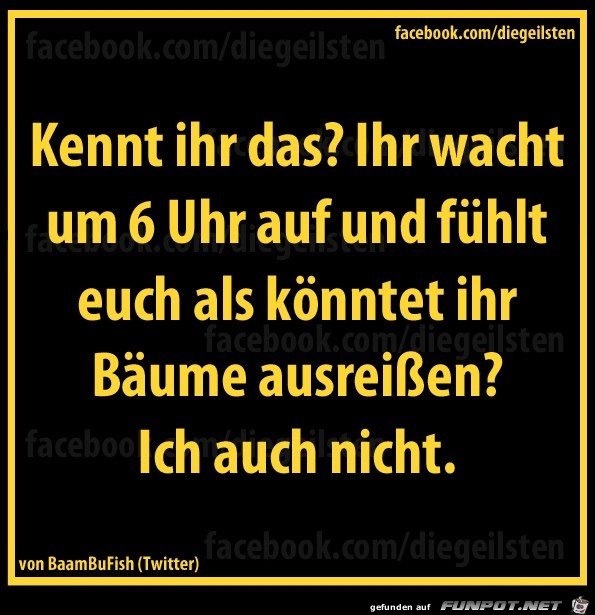 diegeilsten 6Uhr diegeilsten 6Uhr