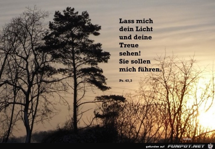 Psalm 43,3 Psalm 43,3