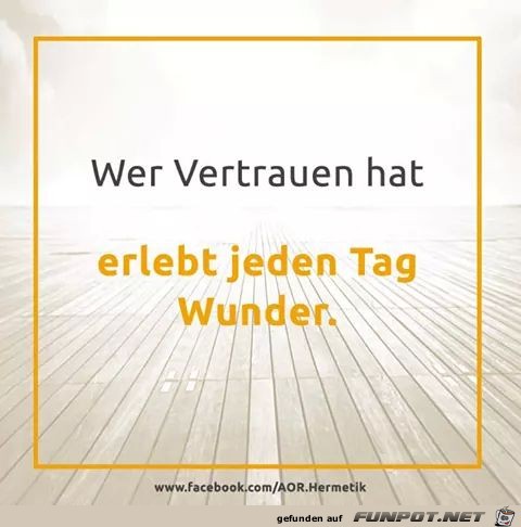 Wunder Wunder