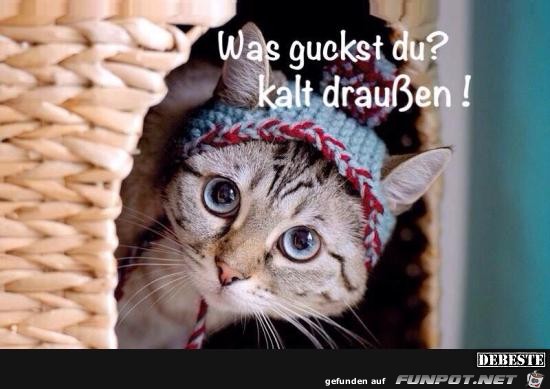 was guckst du was guckst du
