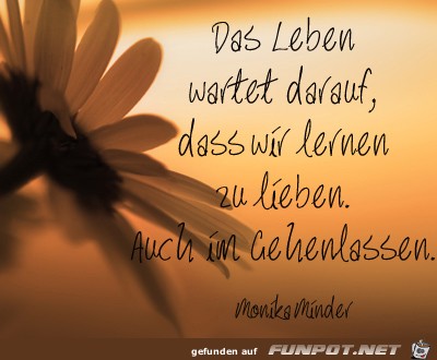 das-leben-wartet-darauf das-leben-wartet-darauf